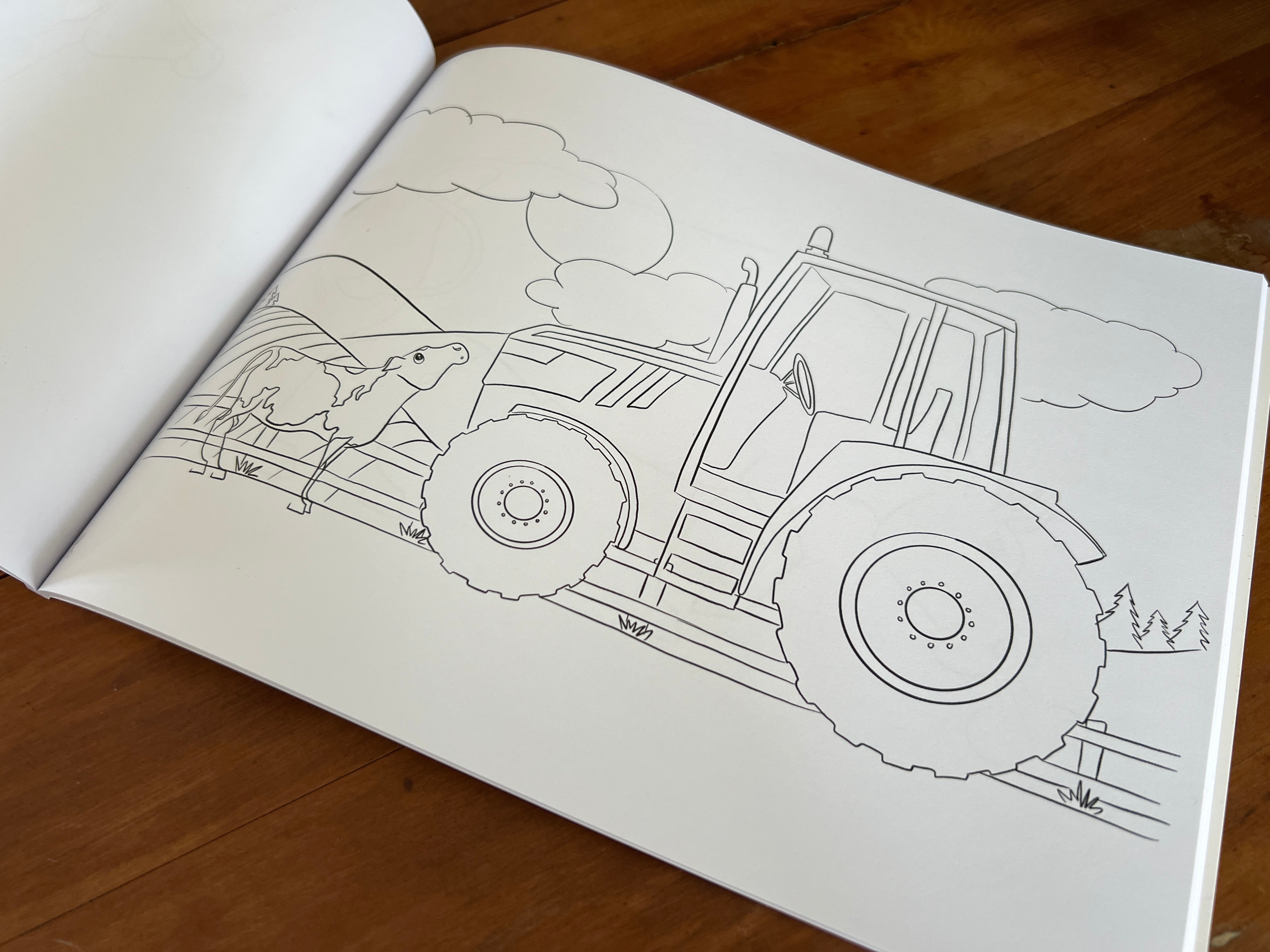 The Art of Michelle Clarke - Rural New Zealand Colouring-in Book