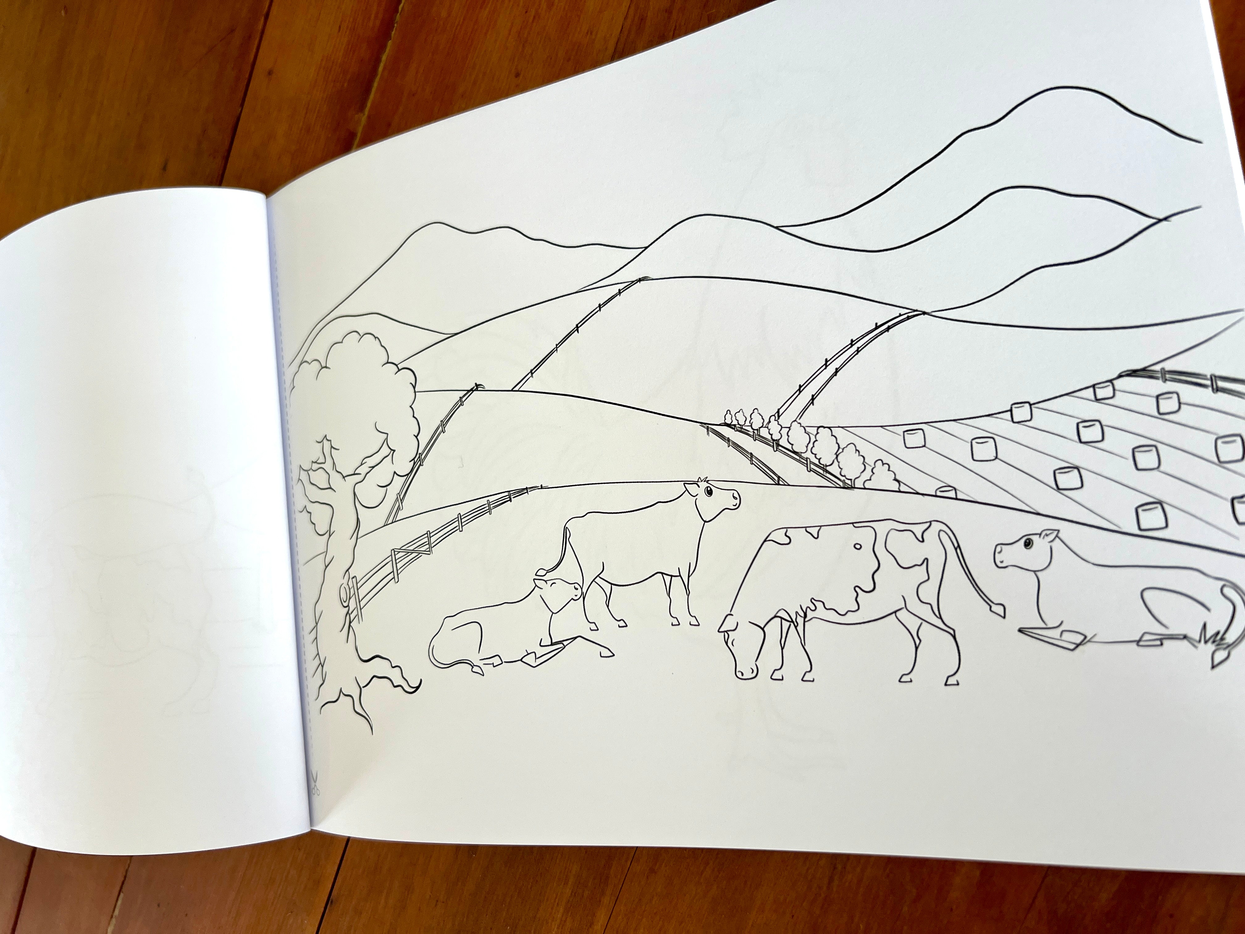 The Art of Michelle Clarke - Rural New Zealand Colouring-in Book