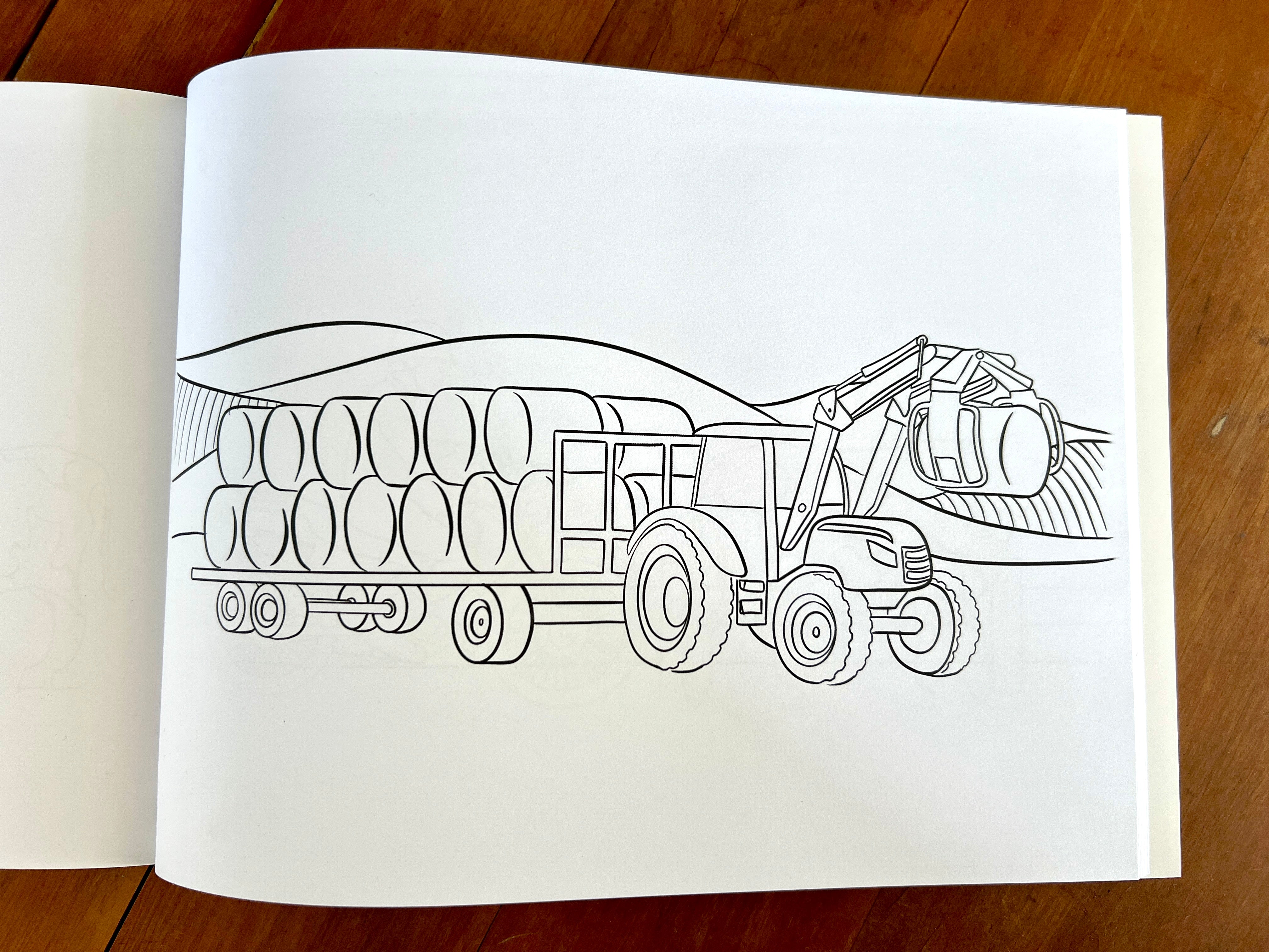 The Art of Michelle Clarke - Rural New Zealand Colouring-in Book
