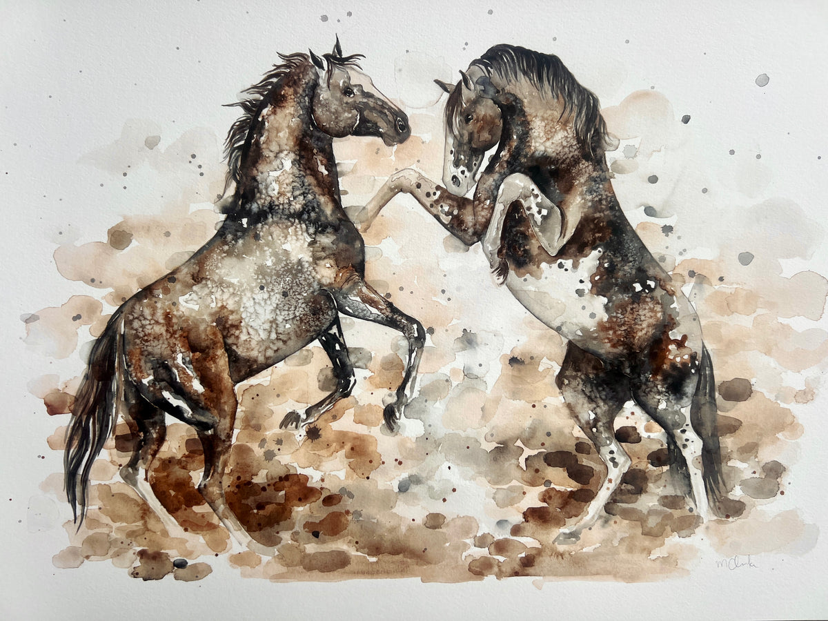 Stallions - Watercolour Art Print