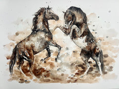 Stallions - Watercolour Art Print