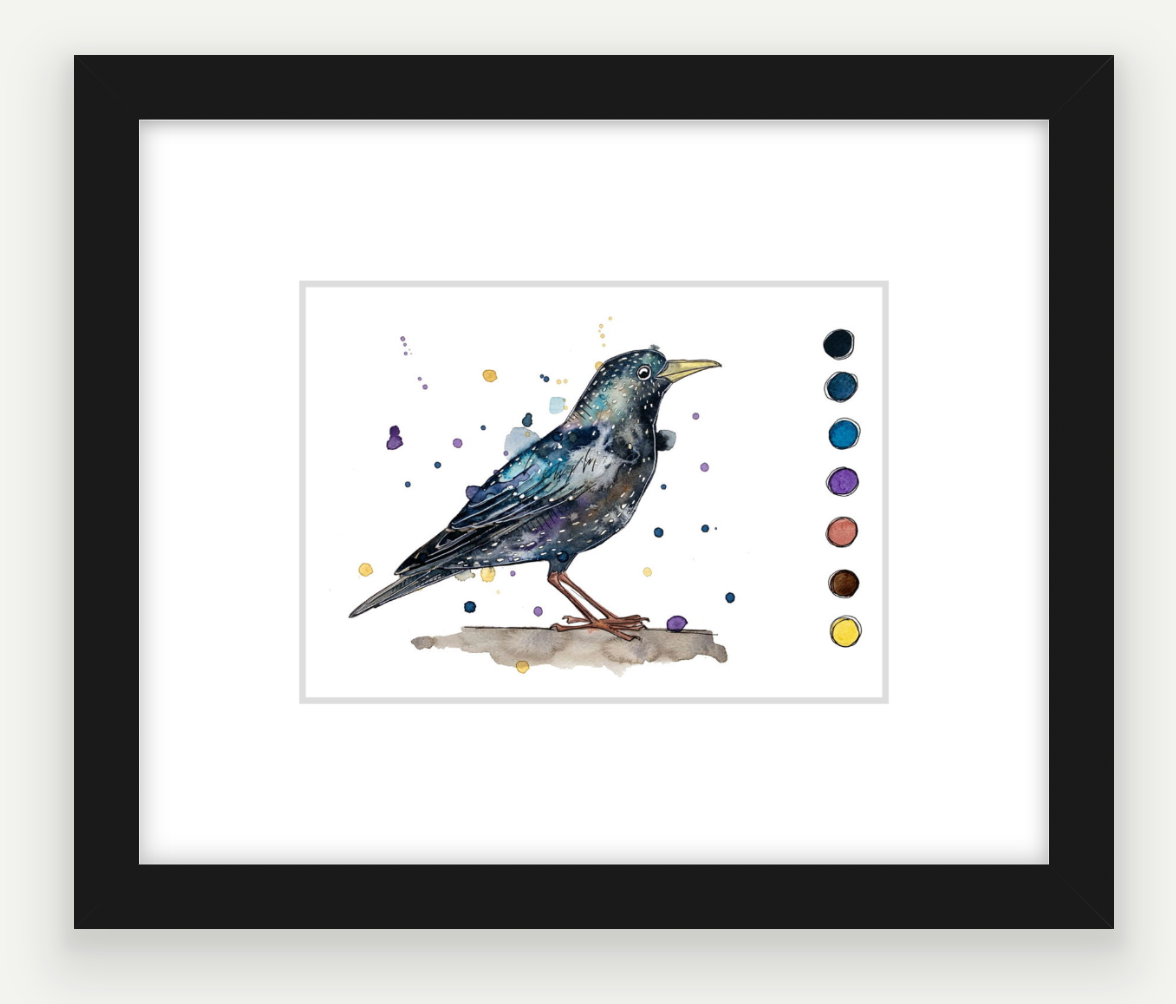 Starling - Watercolour Mini Print