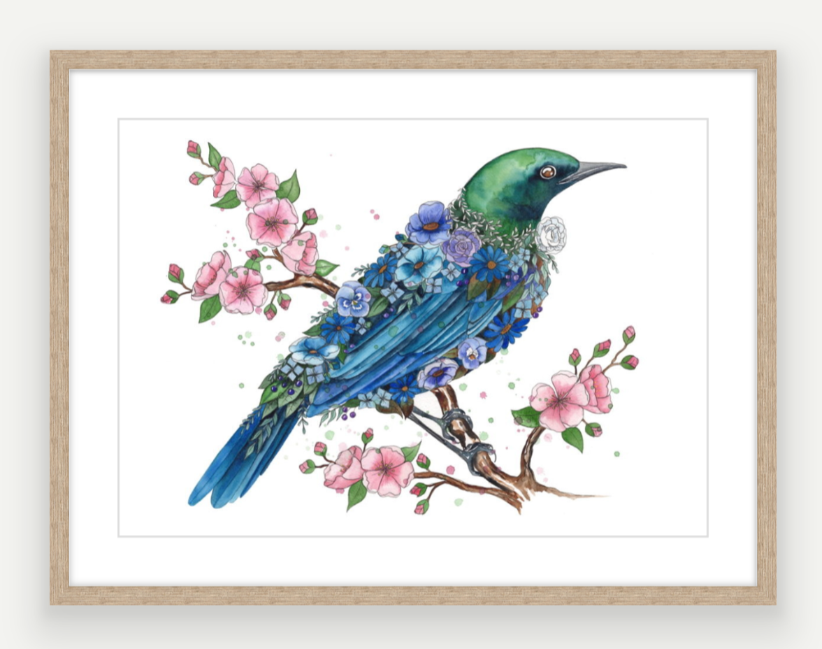 Tui - Aotearoa Florals Collection - Watercolour Print