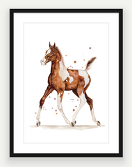 Pinto Filly - Watercolour Print