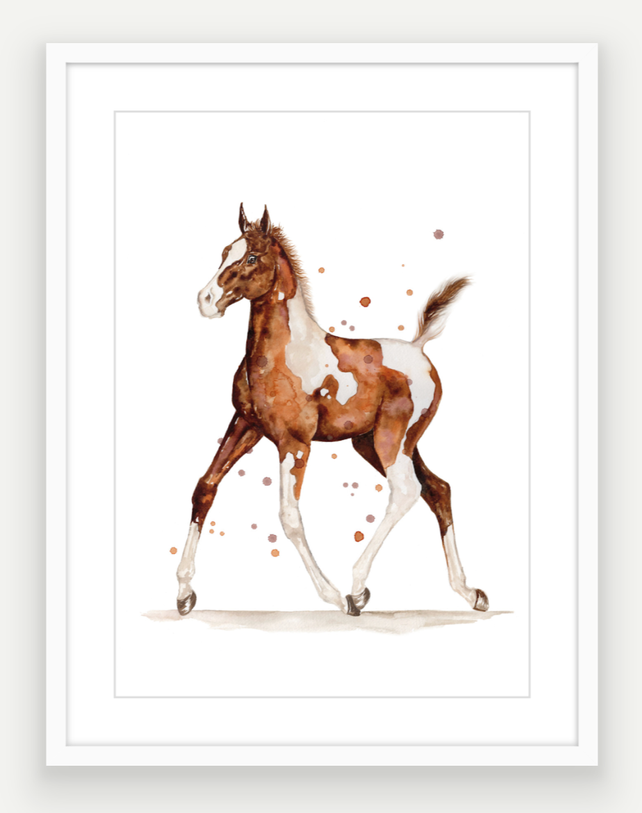 Pinto Filly - Watercolour Print