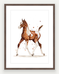 Pinto Filly - Watercolour Print