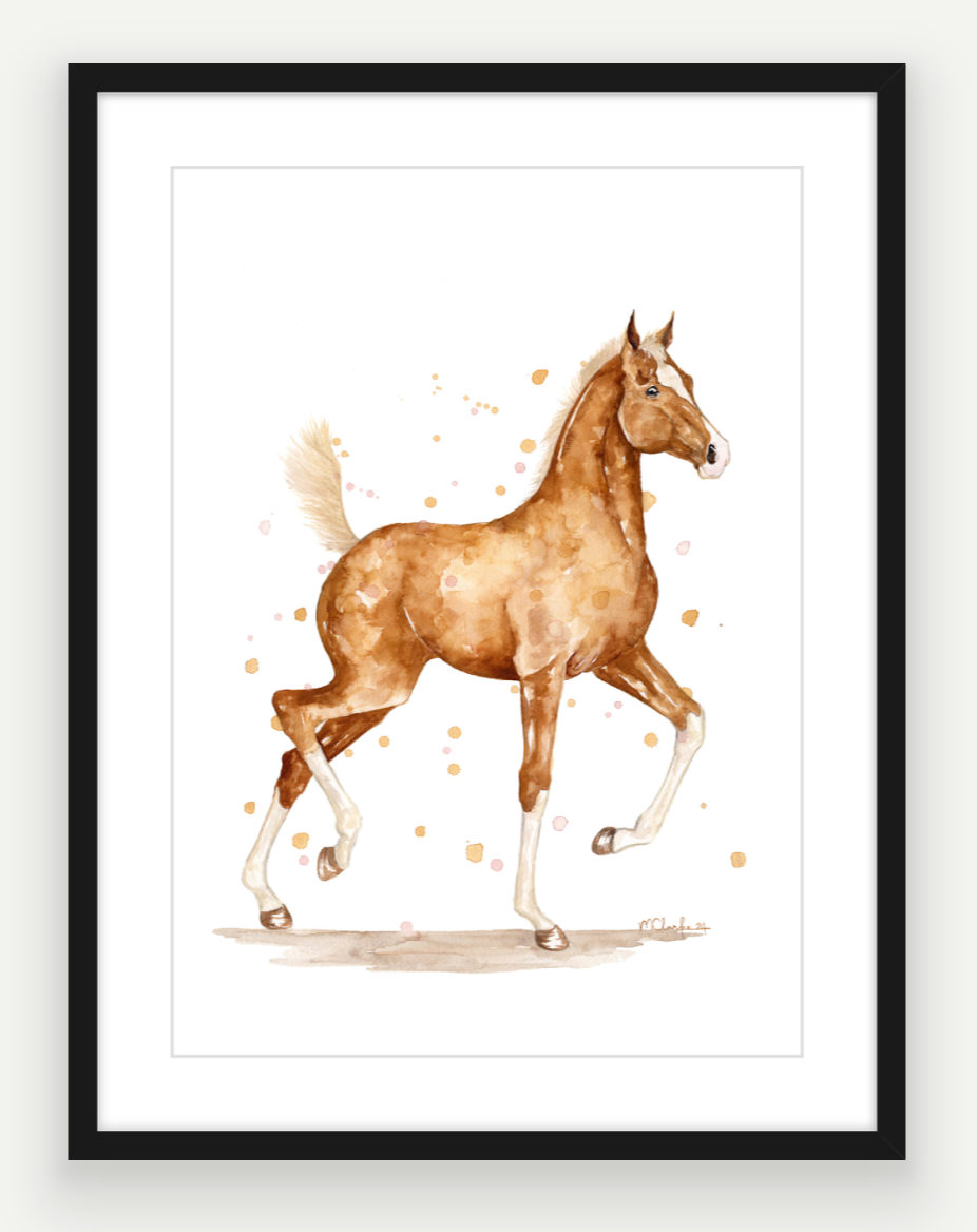 Golden Colt - Watercolour Print