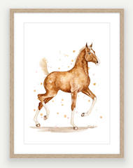 Golden Colt - Watercolour Print