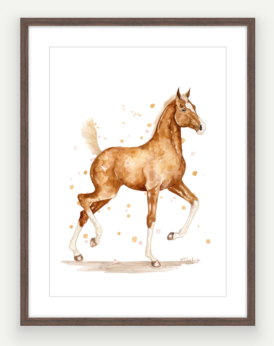 Golden Colt - Watercolour Print