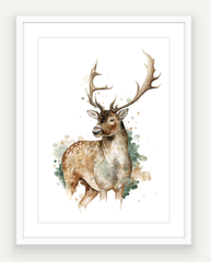 Fallow Stag - Watercolour Art Print