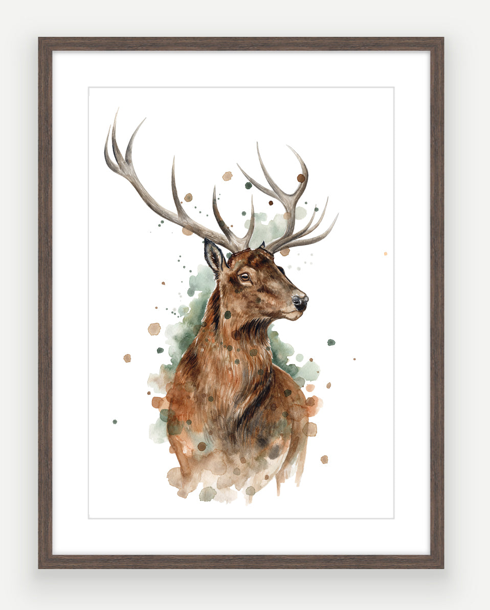 Red Stag - Watercolour Art Print