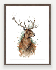 Red Stag - Watercolour Art Print