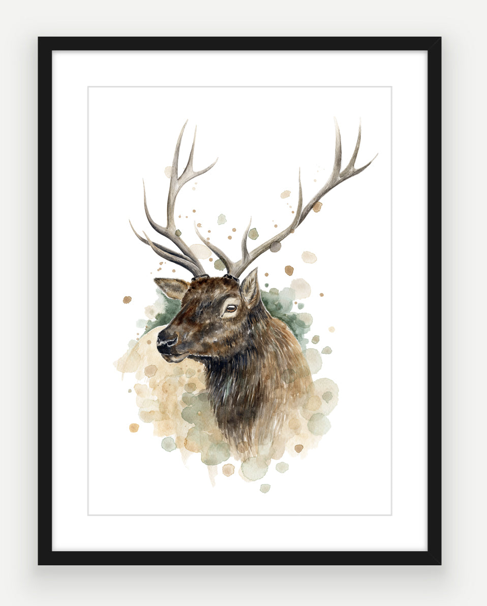 Wapiti Stag - Watercolour Art Print