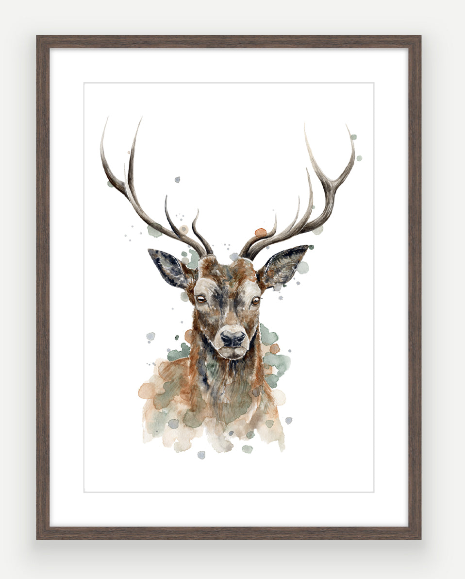 Sika Stag - Watercolour Art Print