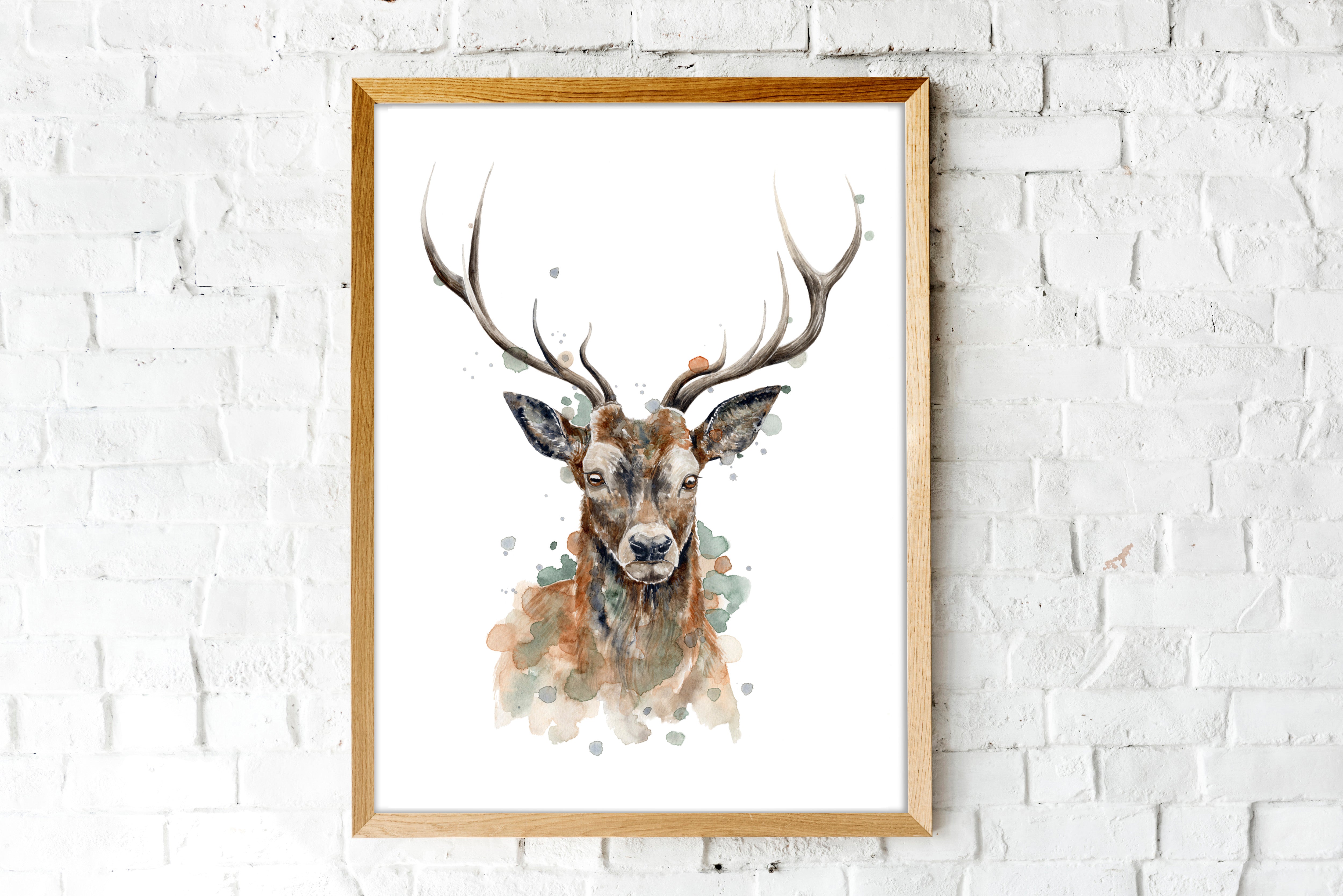 Sika Stag - Watercolour Art Print