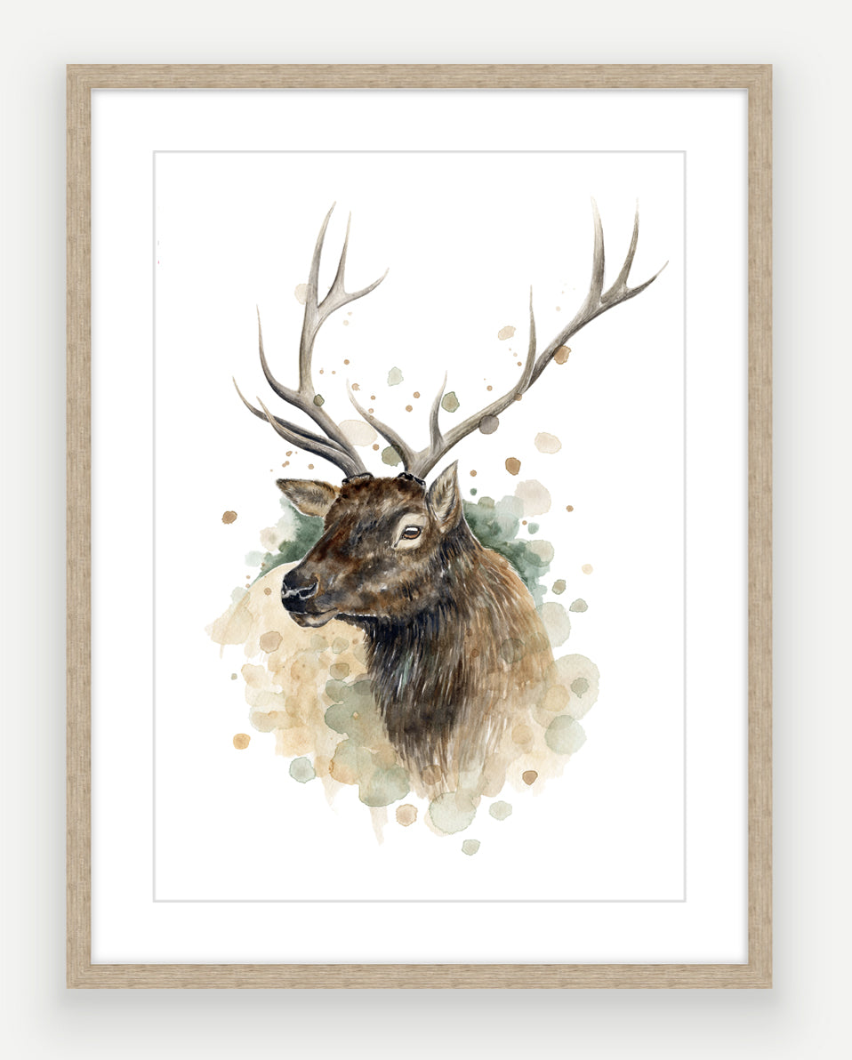 Wapiti Stag - Watercolour Art Print