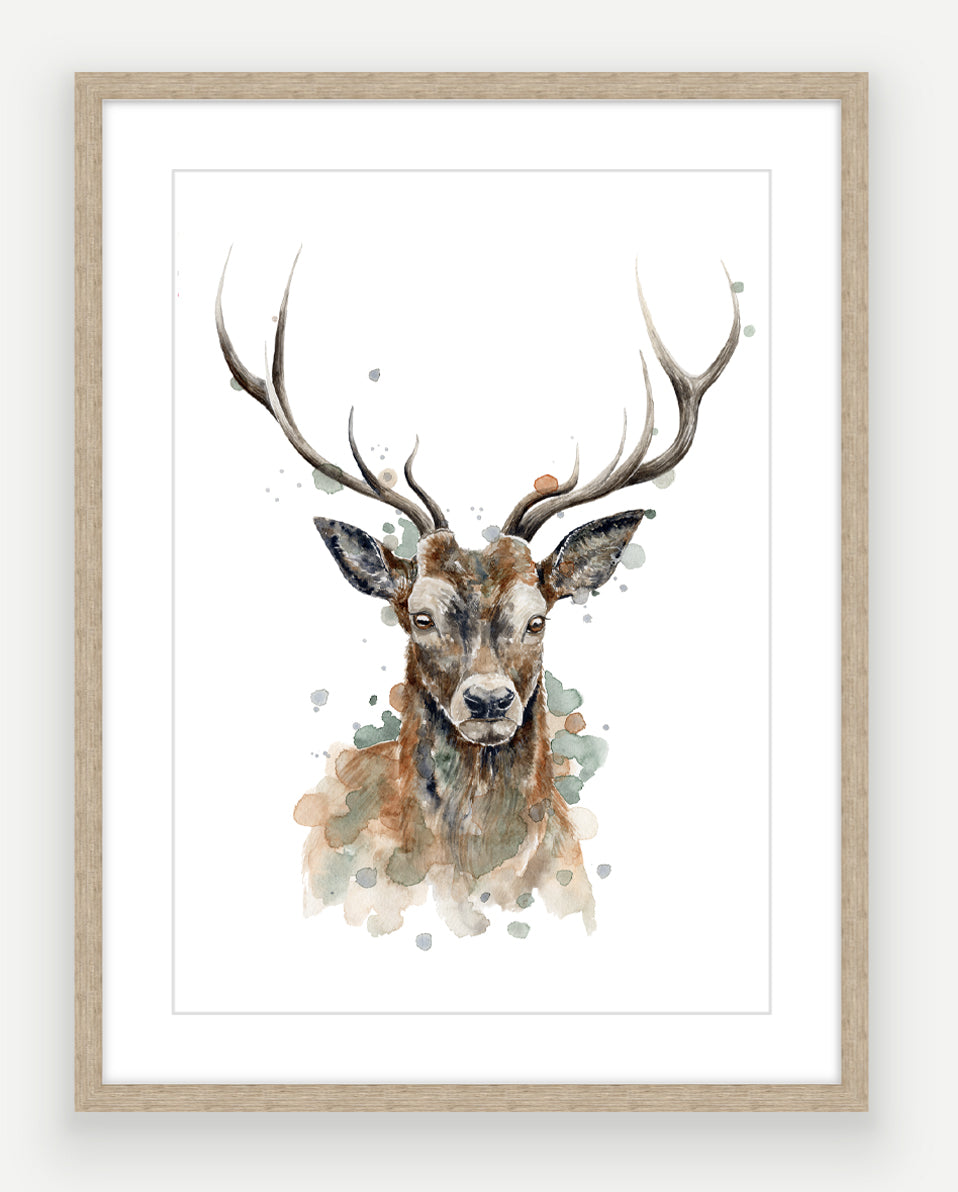 Sika Stag - Watercolour Art Print
