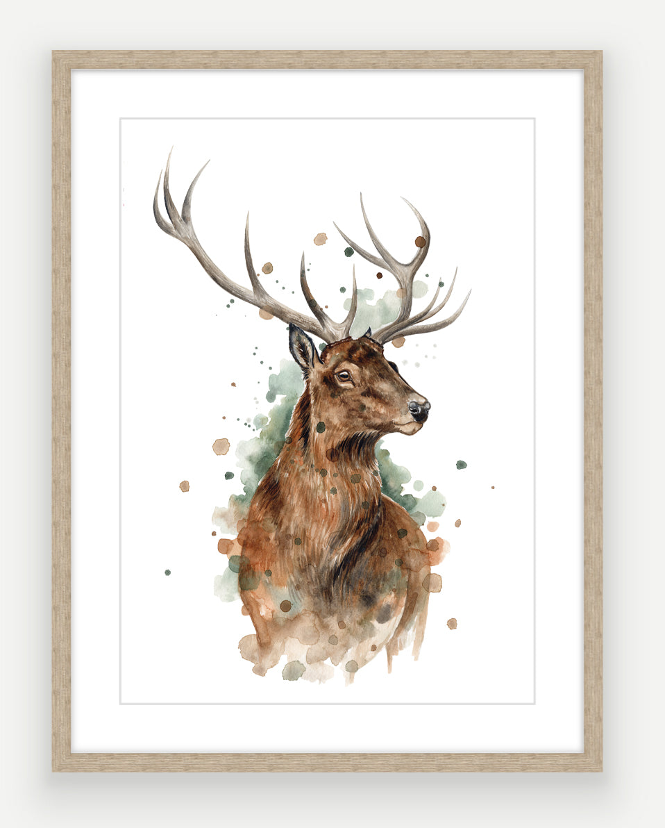 Red Stag - Watercolour Art Print