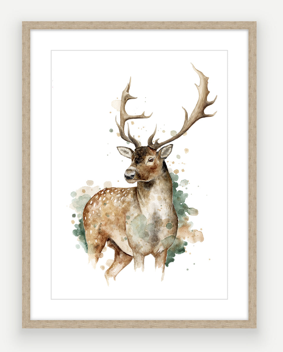 Fallow Stag - Watercolour Art Print
