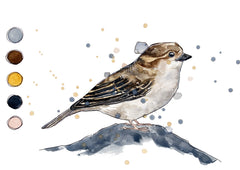 Sparrow - Watercolour Mini Print