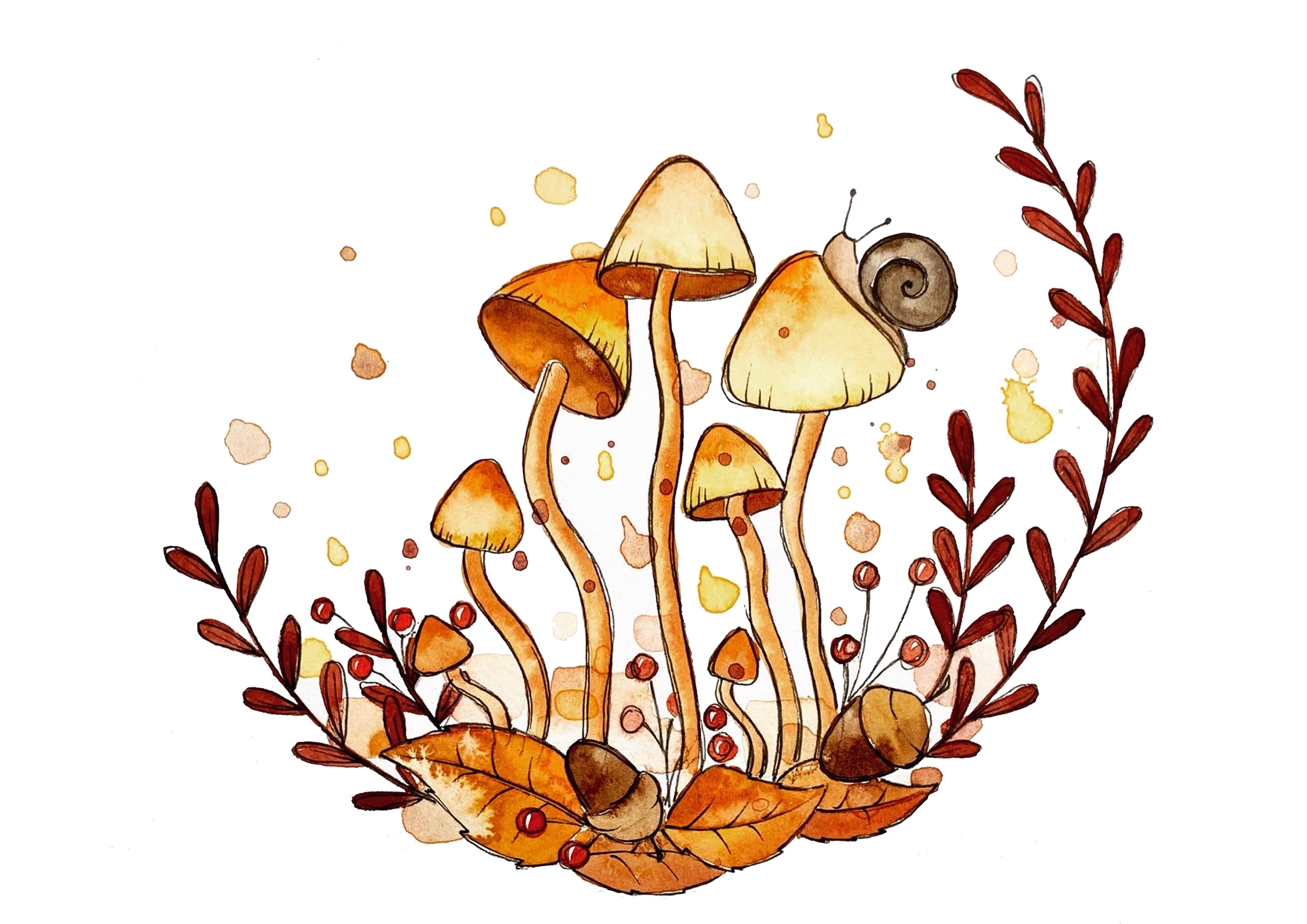 Mushrooms 3 - Watercolour Mini Print